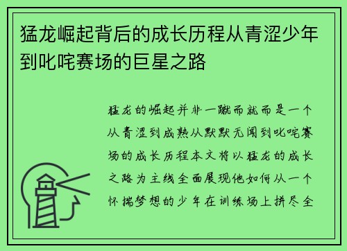 猛龙崛起背后的成长历程从青涩少年到叱咤赛场的巨星之路